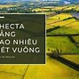 1000 Hecta Bằng Bao Nhiêu M2