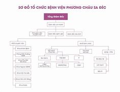 Bệnh Viện Phương Châu Sa Đéc Theo Chủ Sở Hữu