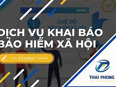 Chi Nhánh Bảo Hiểm Xã Hội Ở Hải Phòng