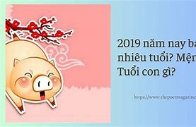 Con Gái Tuổi Hợi 2019 Sinh Tháng Nào Tốt