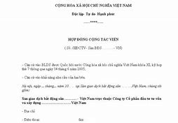 Cộng Tác Viên Pháp Luật