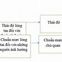 Những Người Có Ảnh Hưởng Trên Mạng Xã Hội