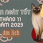 Xem Giờ Tốt Ngày 21 Tháng 11 Năm 2023